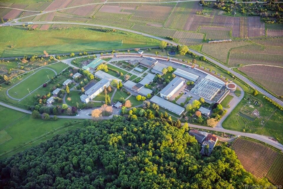 lycée pflixbourg